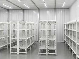 Shelf Space for Rent in Machakos Town – KES 200 per Day